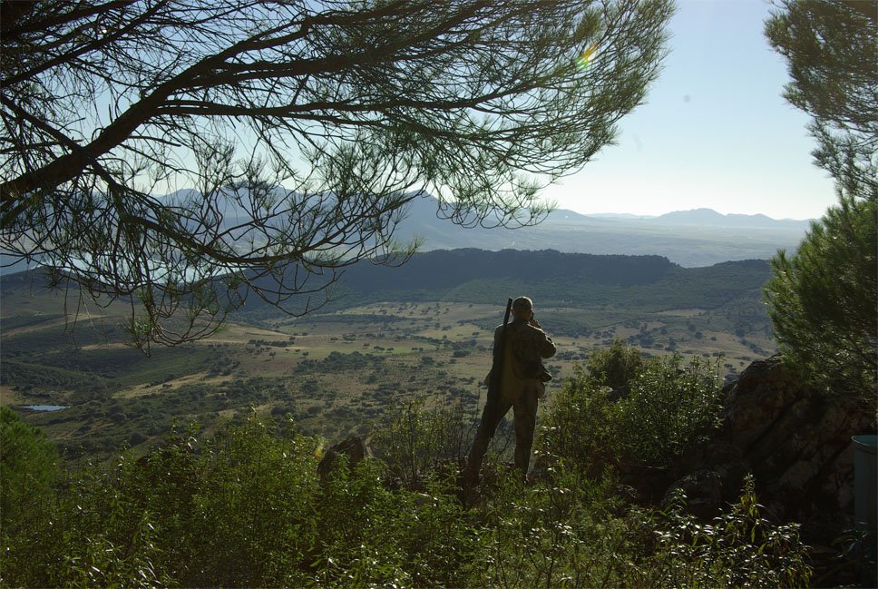 Paradis pour la chasse à la grive en Espagne.